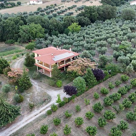 Agriturismo Le Quattro Stagioni Viterbo Esterno foto