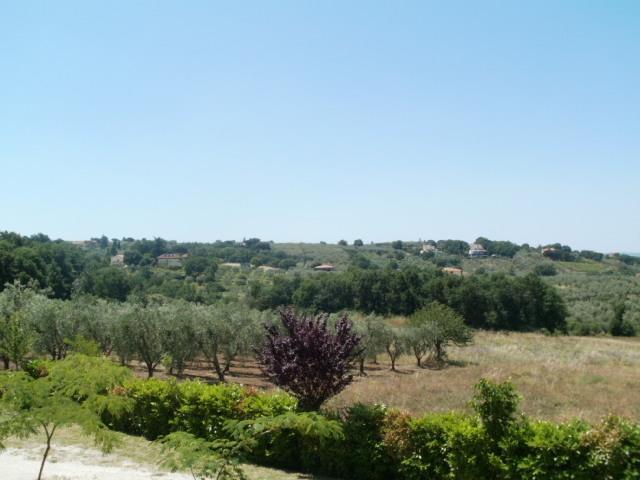 Agriturismo Le Quattro Stagioni Viterbo Esterno foto