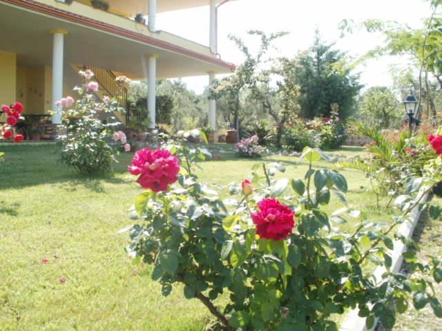 Agriturismo Le Quattro Stagioni Viterbo Esterno foto