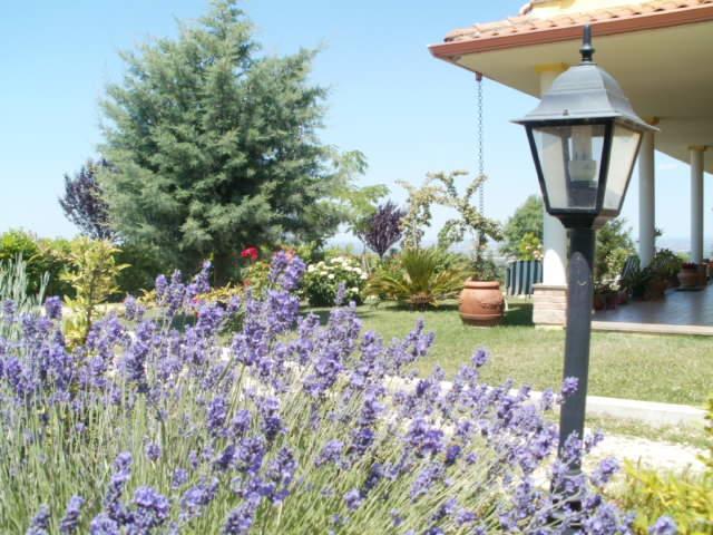 Agriturismo Le Quattro Stagioni Viterbo Esterno foto