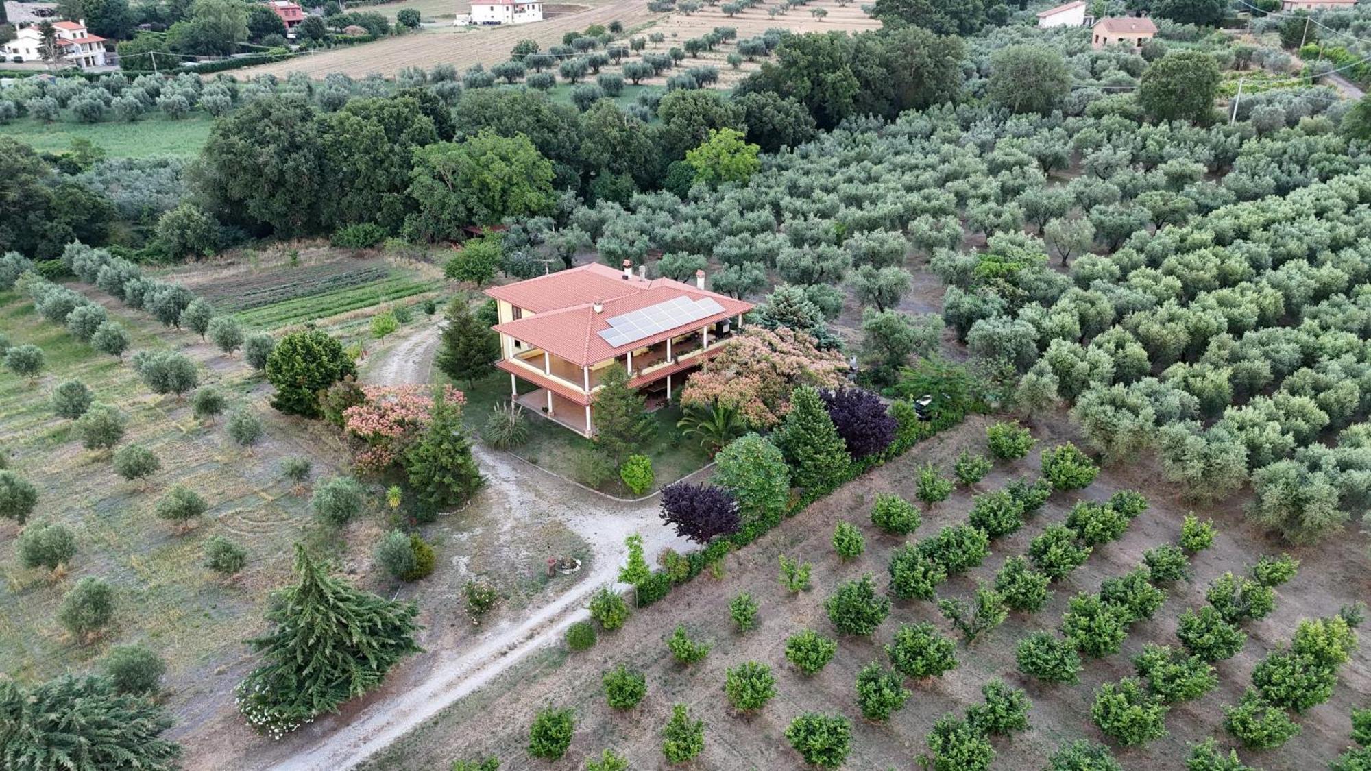 Agriturismo Le Quattro Stagioni Viterbo Esterno foto