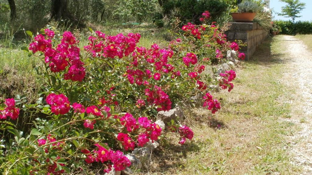 Agriturismo Le Quattro Stagioni Viterbo Esterno foto