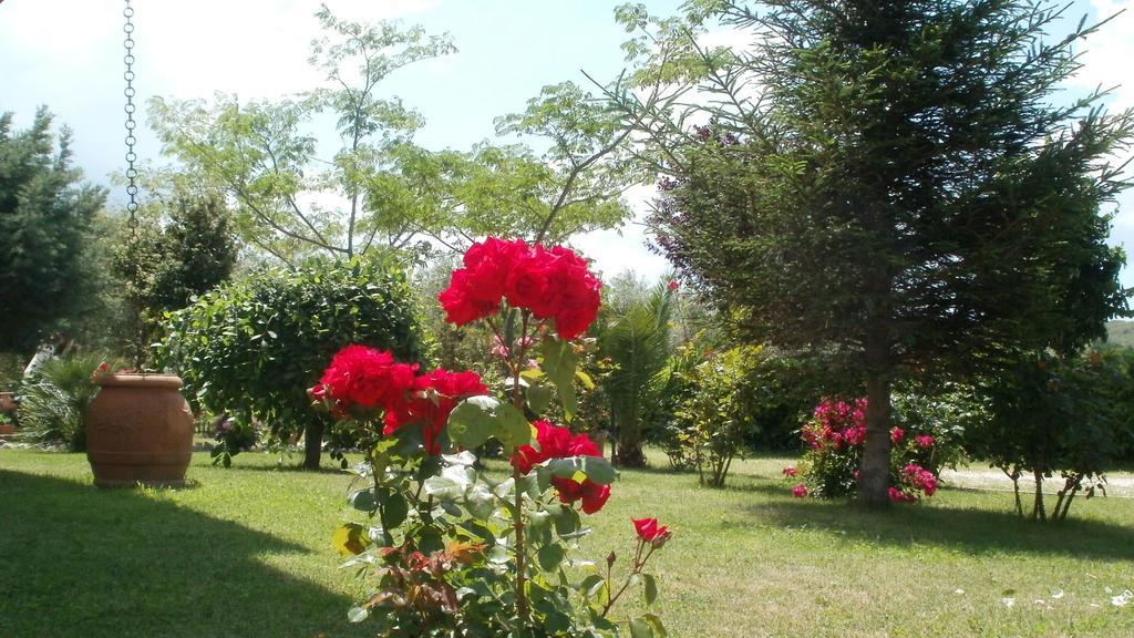 Agriturismo Le Quattro Stagioni Viterbo Esterno foto