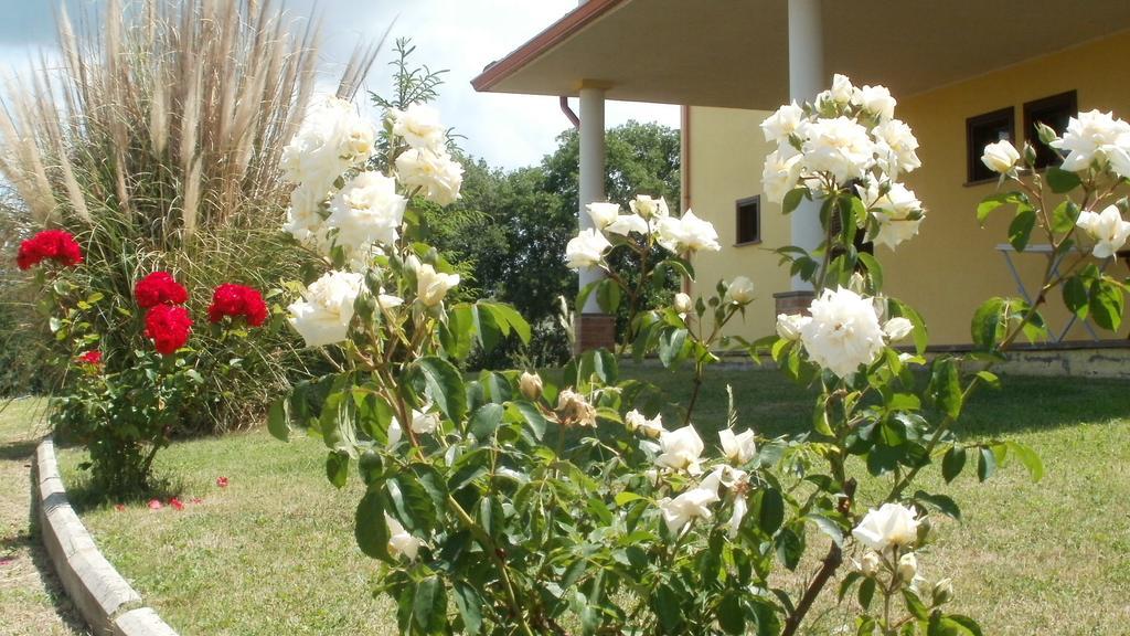 Agriturismo Le Quattro Stagioni Viterbo Esterno foto