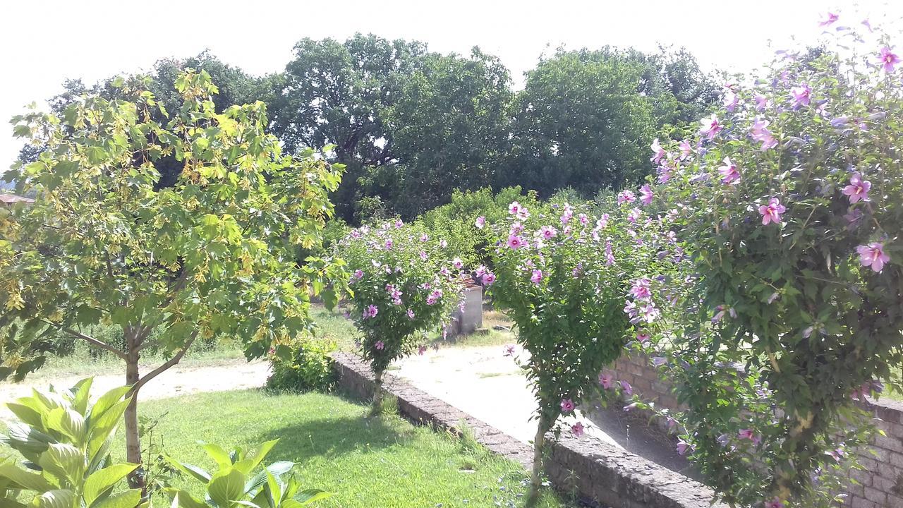 Agriturismo Le Quattro Stagioni Viterbo Esterno foto
